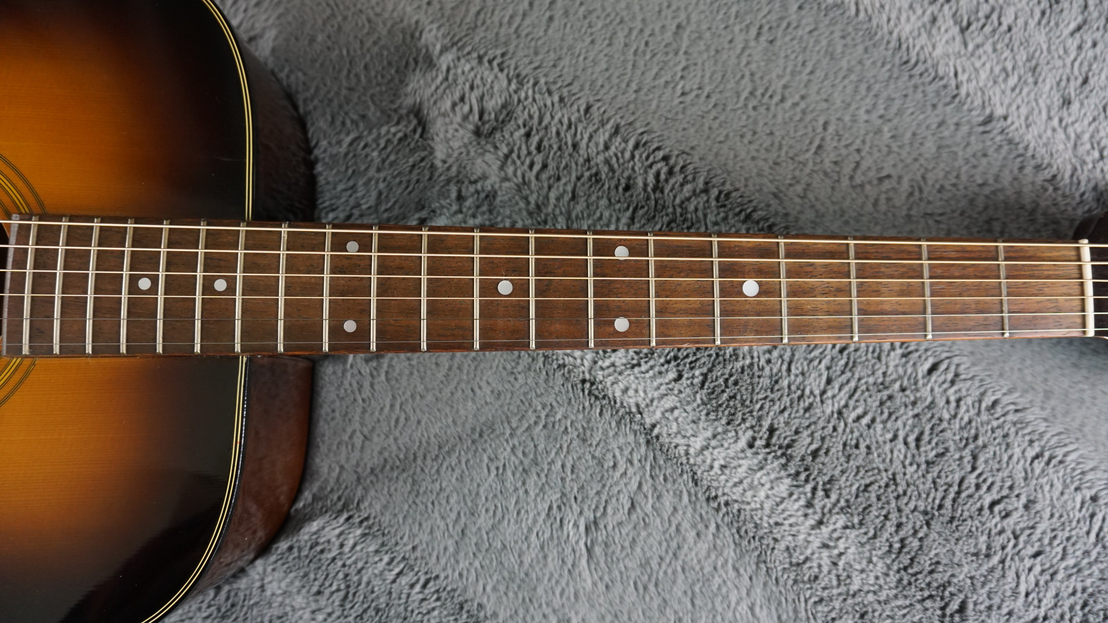 Daion D-B-55-TSB - Tobacco Sunburst Japan