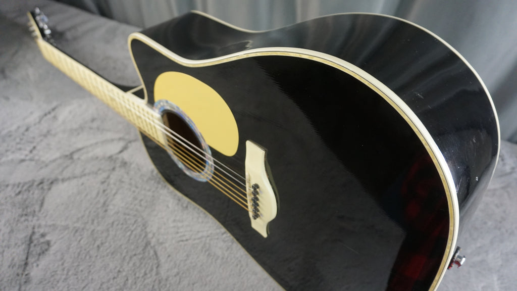 Esteban Vl-100 - Black Acoustic Guitar