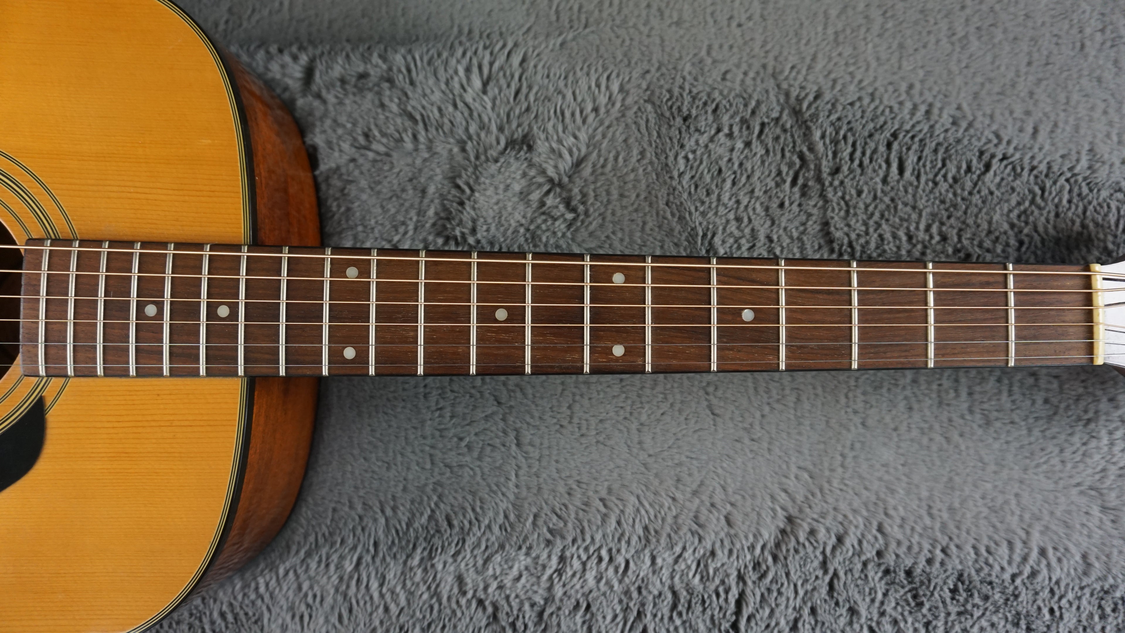 Morris MF-202N Japan Acoustic