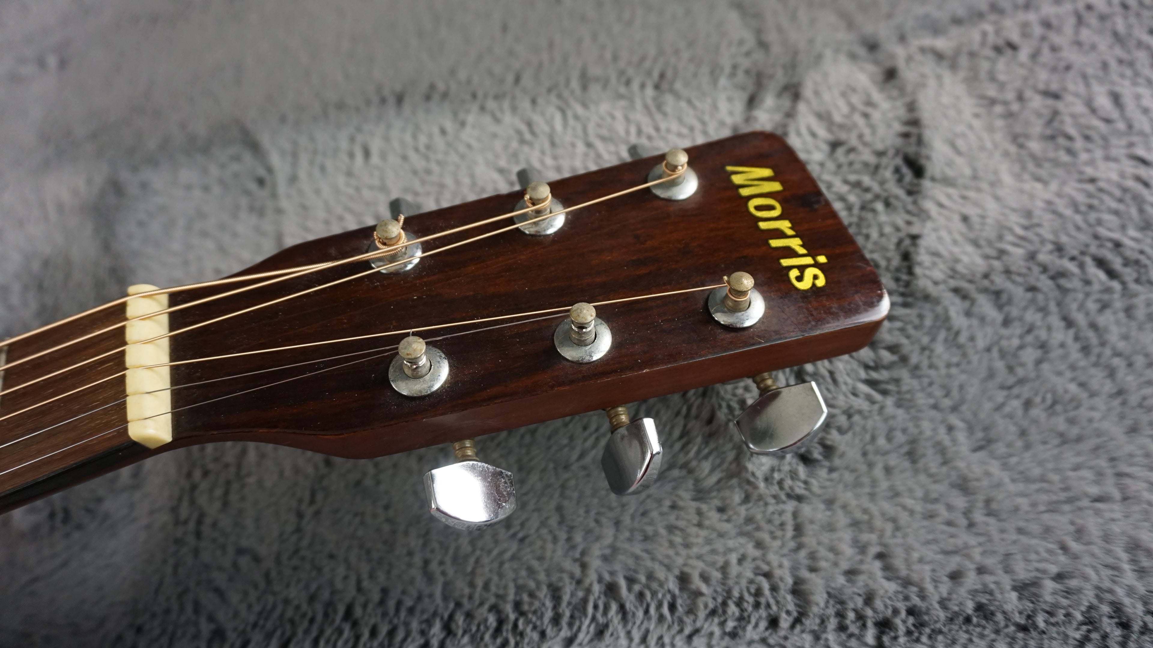 Morris MF-202N Japan Acoustic