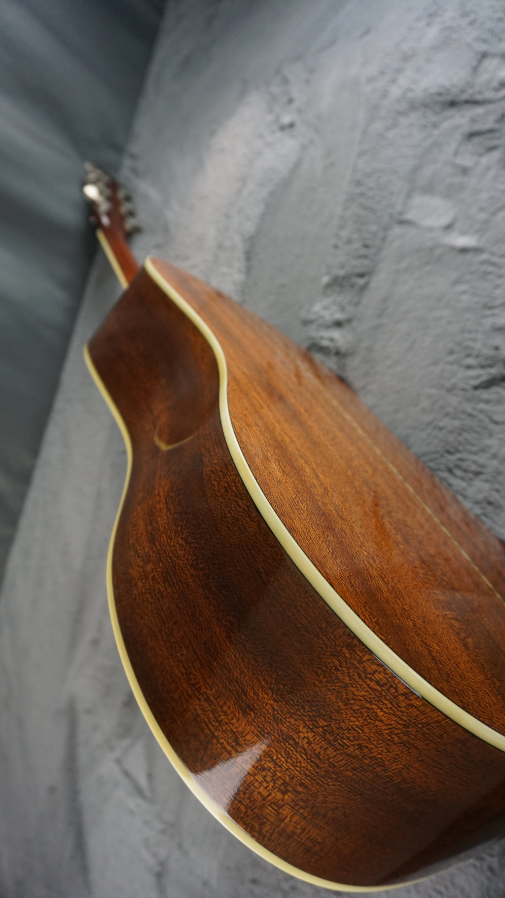 Morris MV-701 Vanguard Series Japan Acoustic