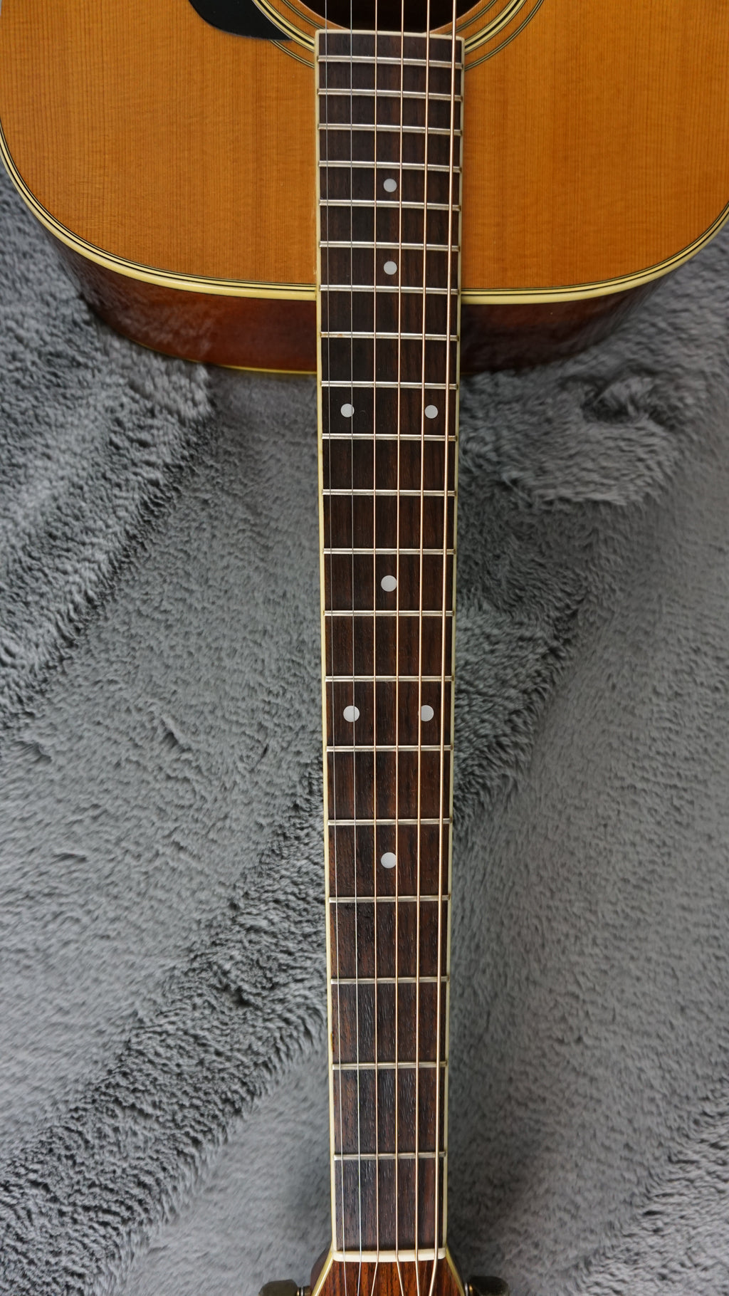 Morris MV-702 1980s - Natural MIJ Acoustic