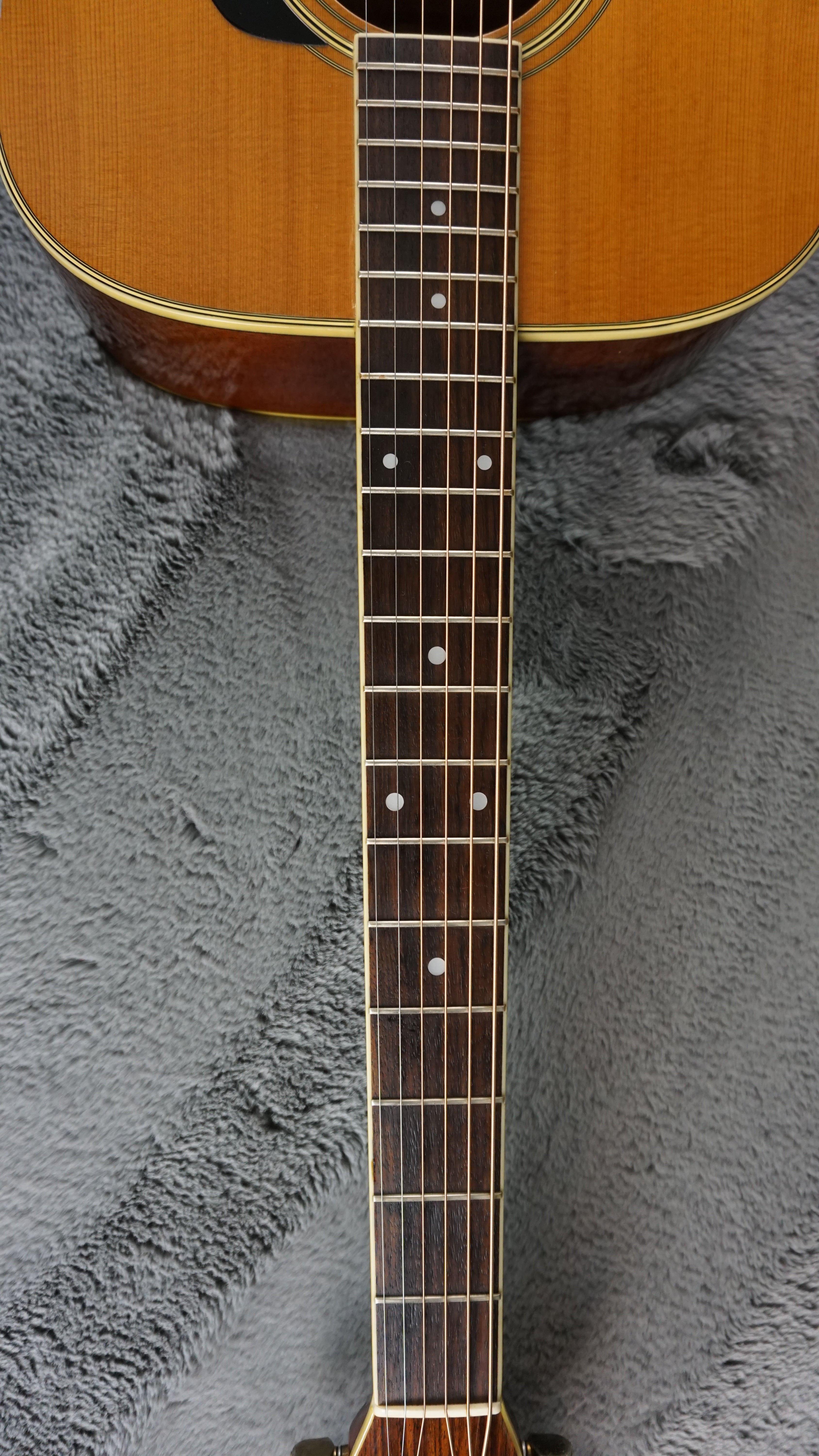 Morris MV-702 1980s - Natural MIJ Acoustic