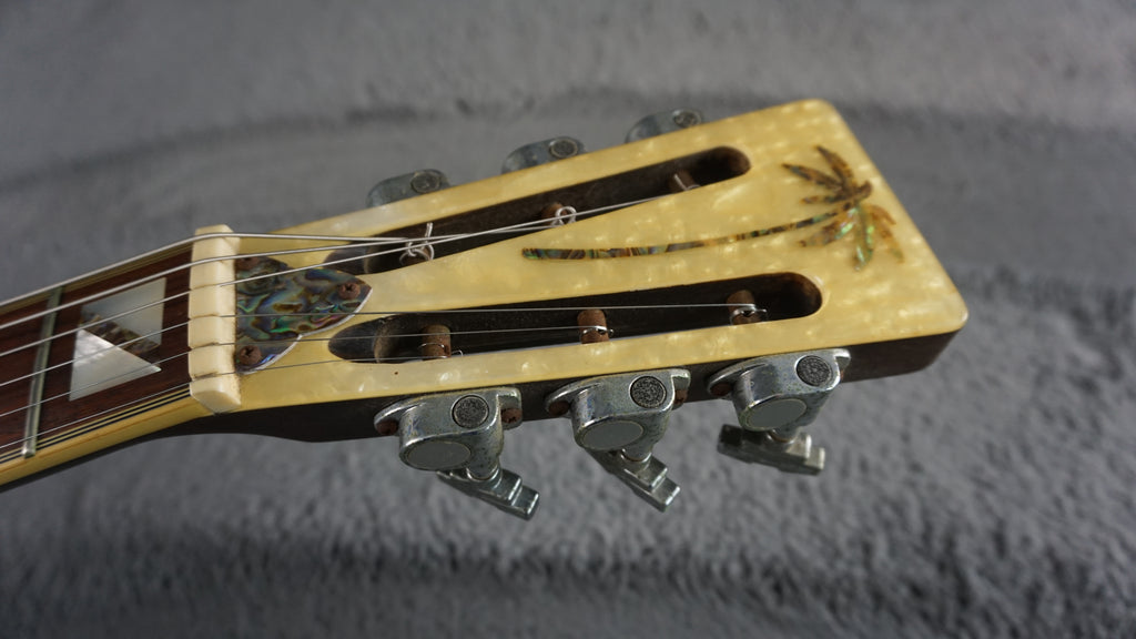 Gill Tone Resonator Japan Rare w/ Original Hard Case