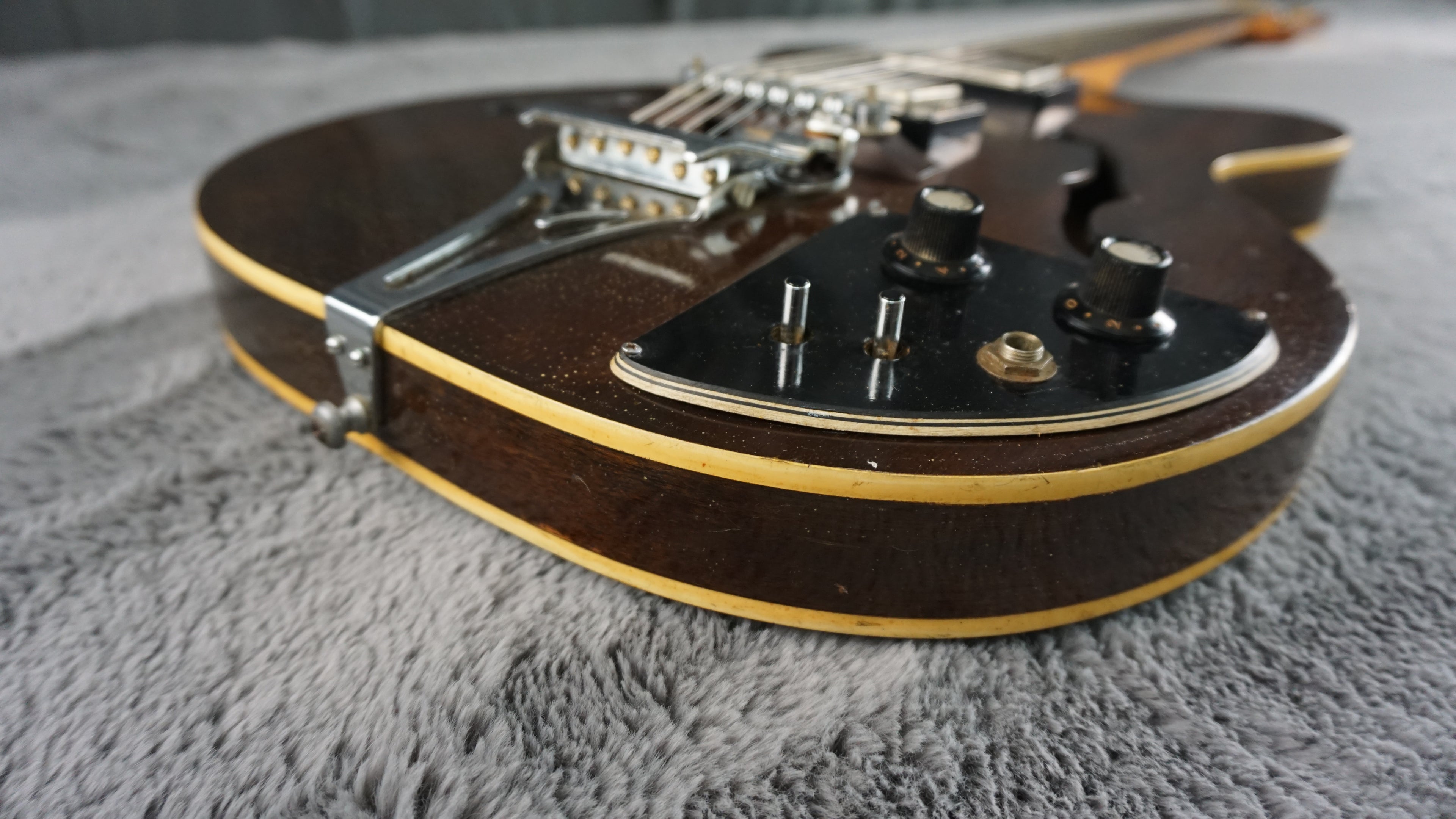 Lero Semi Hollow Body Electric Guitar