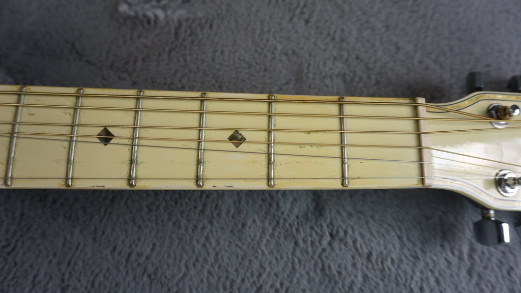 Esteban Vl-100 - Black Acoustic Guitar