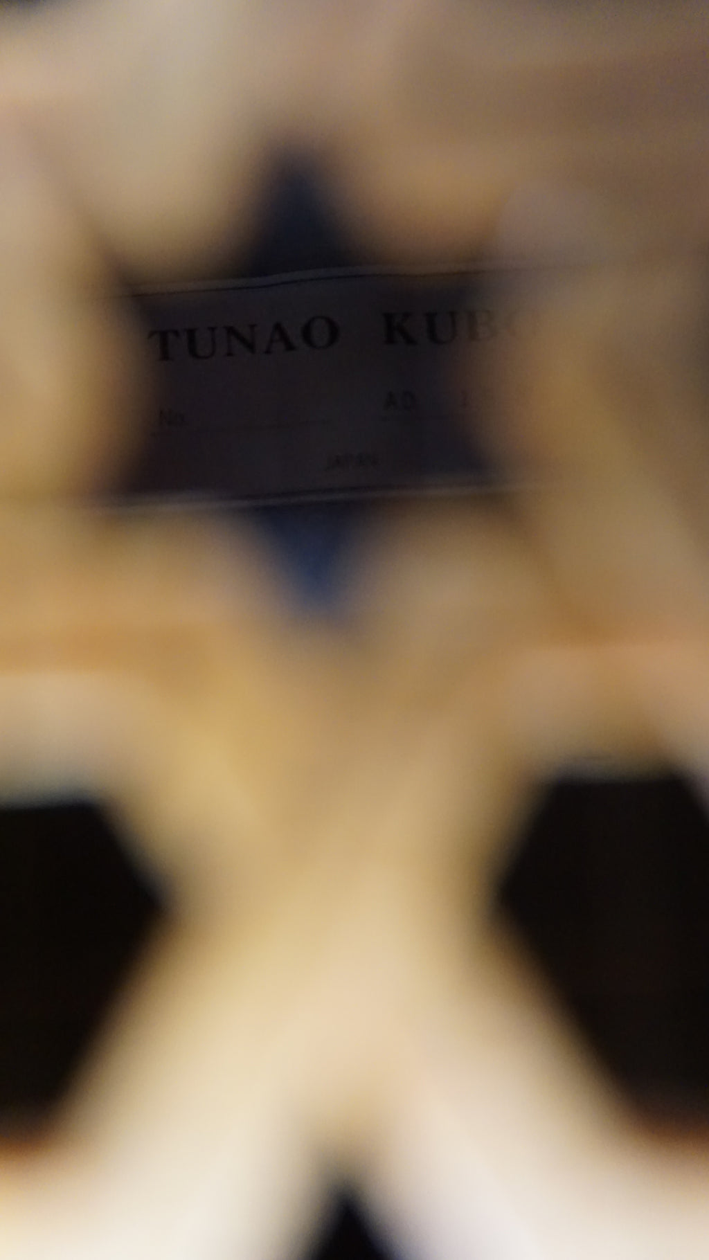 Tsunao Kubo 1986 Hand Built Japan Folk 12-String Acoustic Rare