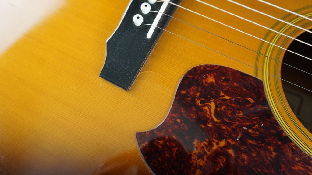 Daion D-B-55-TSB - Tobacco Sunburst Japan