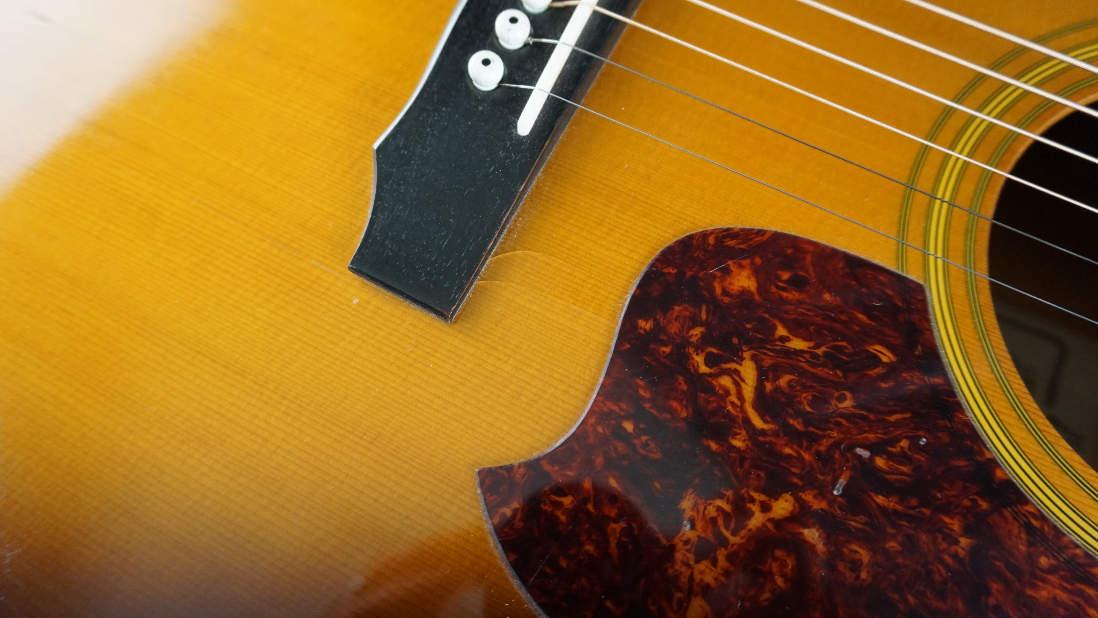 Daion D-B-55-TSB - Tobacco Sunburst Japan