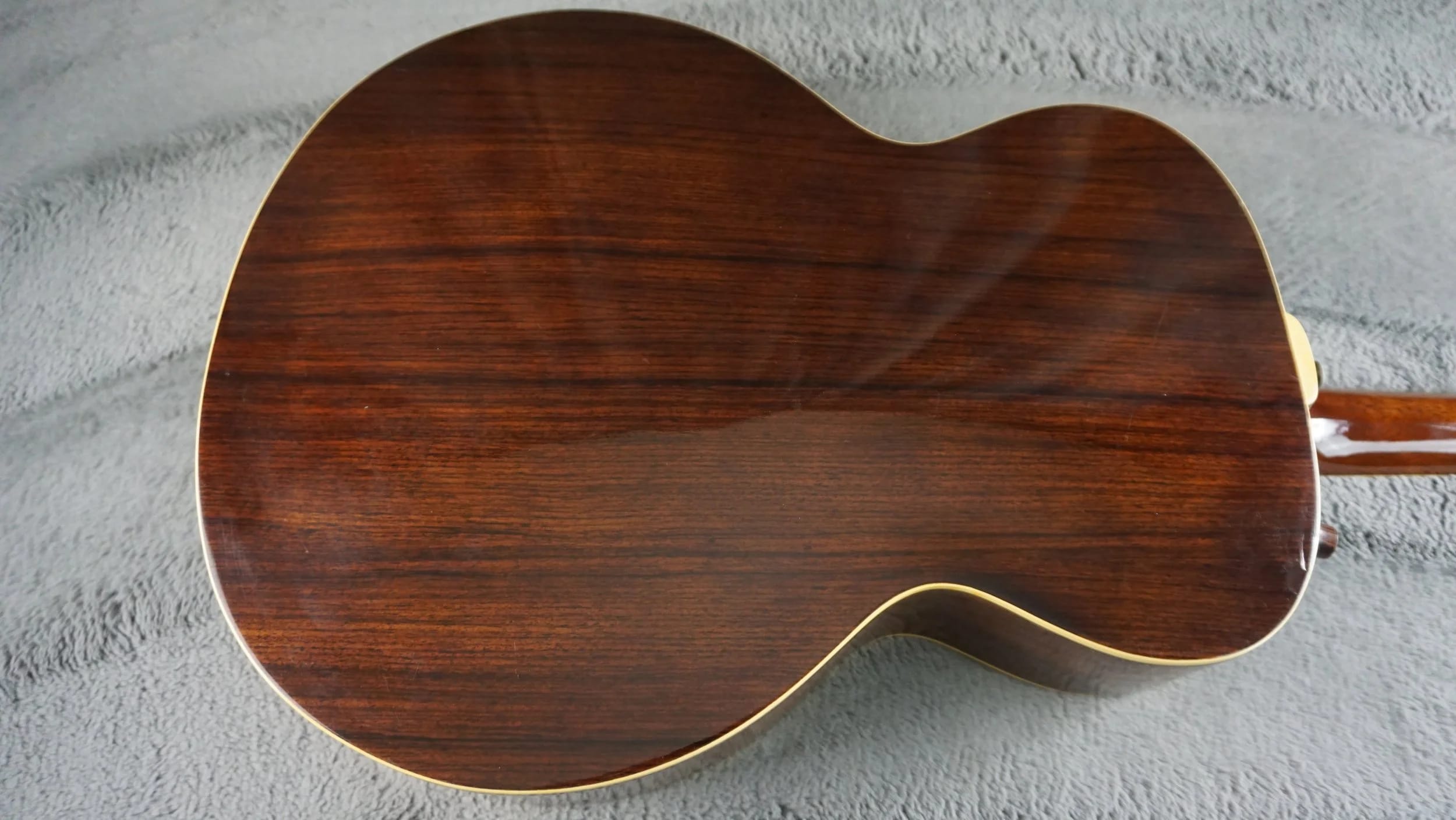 Aria Elecord FE-60 w/ Built-In Electronics w/ Hard Case