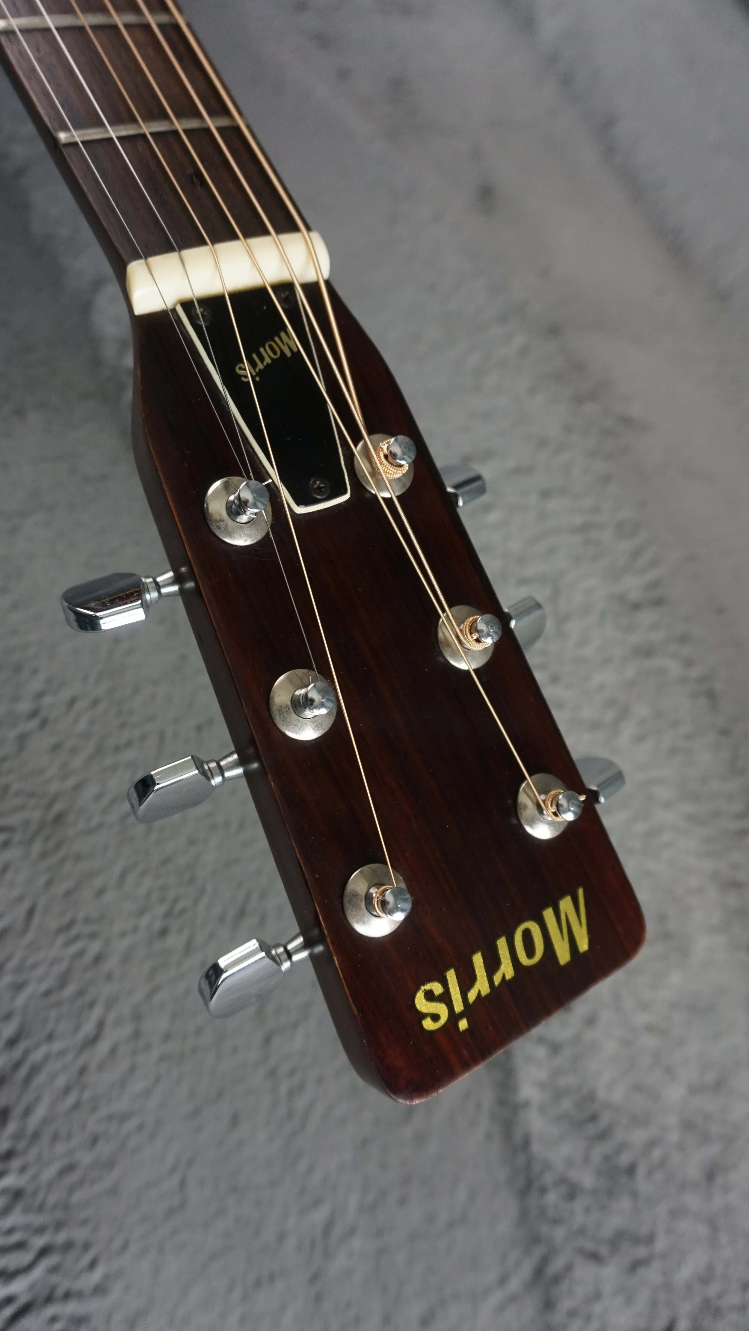 Morris F-18 Japan Folk Acoustic Guitar