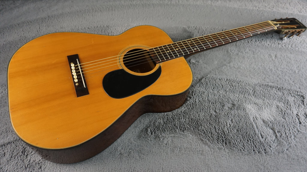 Takamine Elite 70 Japan Acoustic