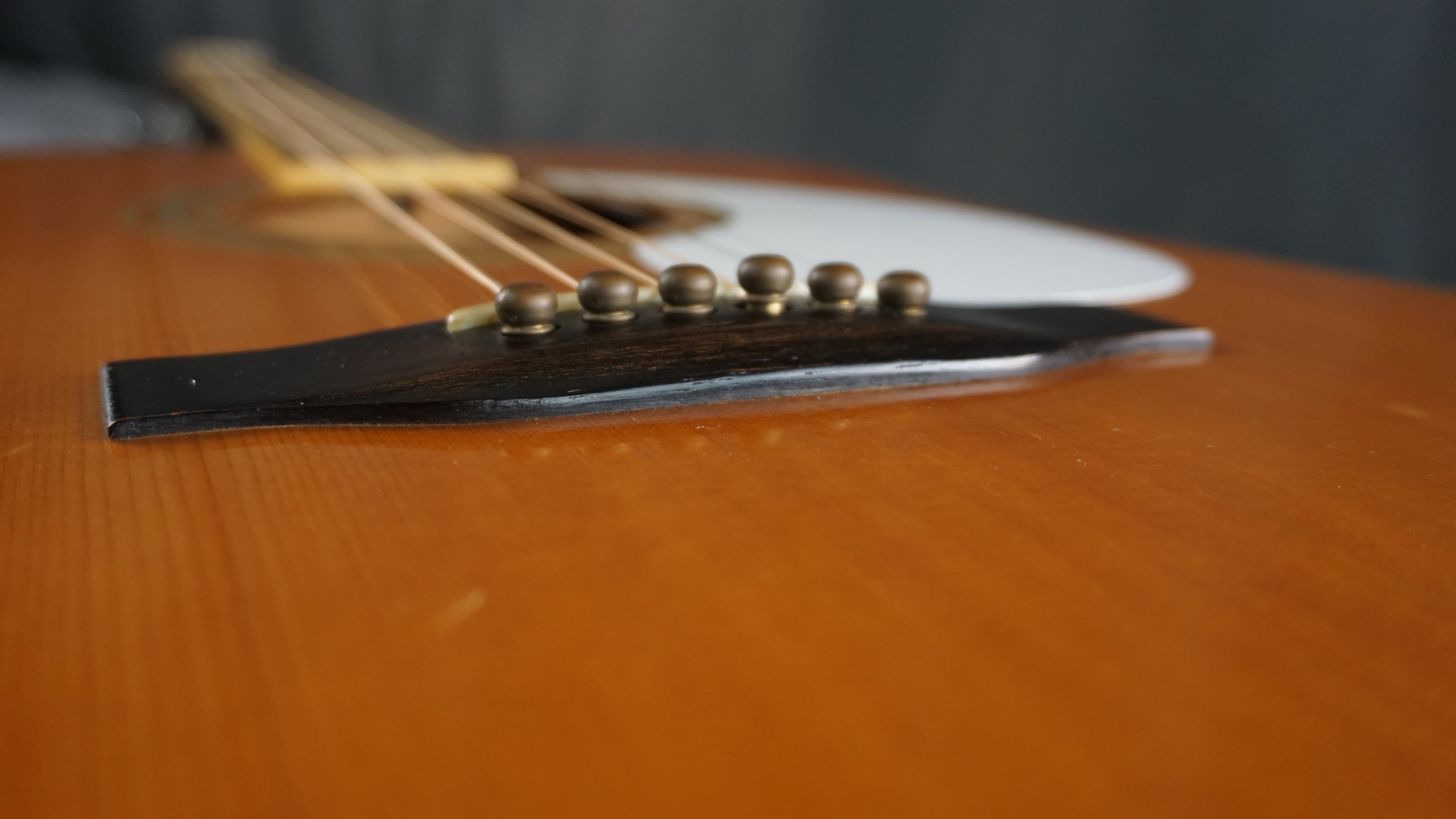 Morris W-35 Special Japan Acoustic Guitar