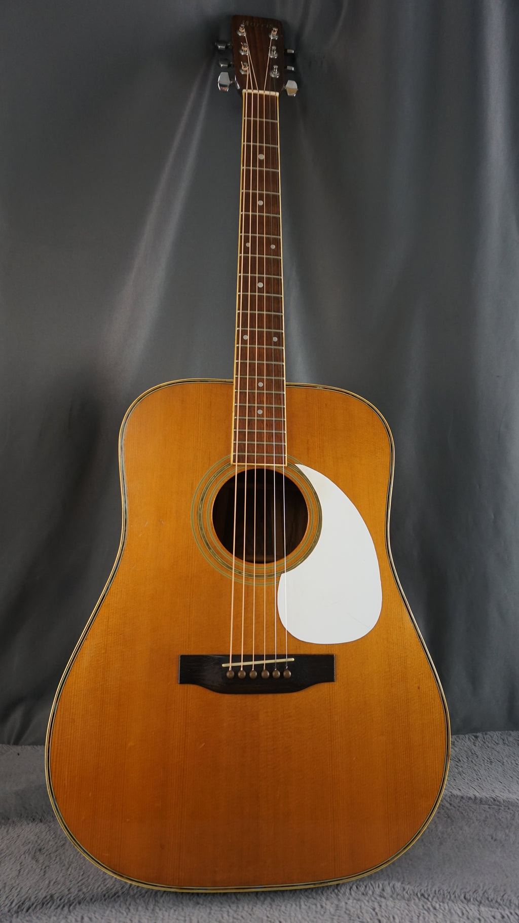 Morris W-35 Special Japan Acoustic Guitar