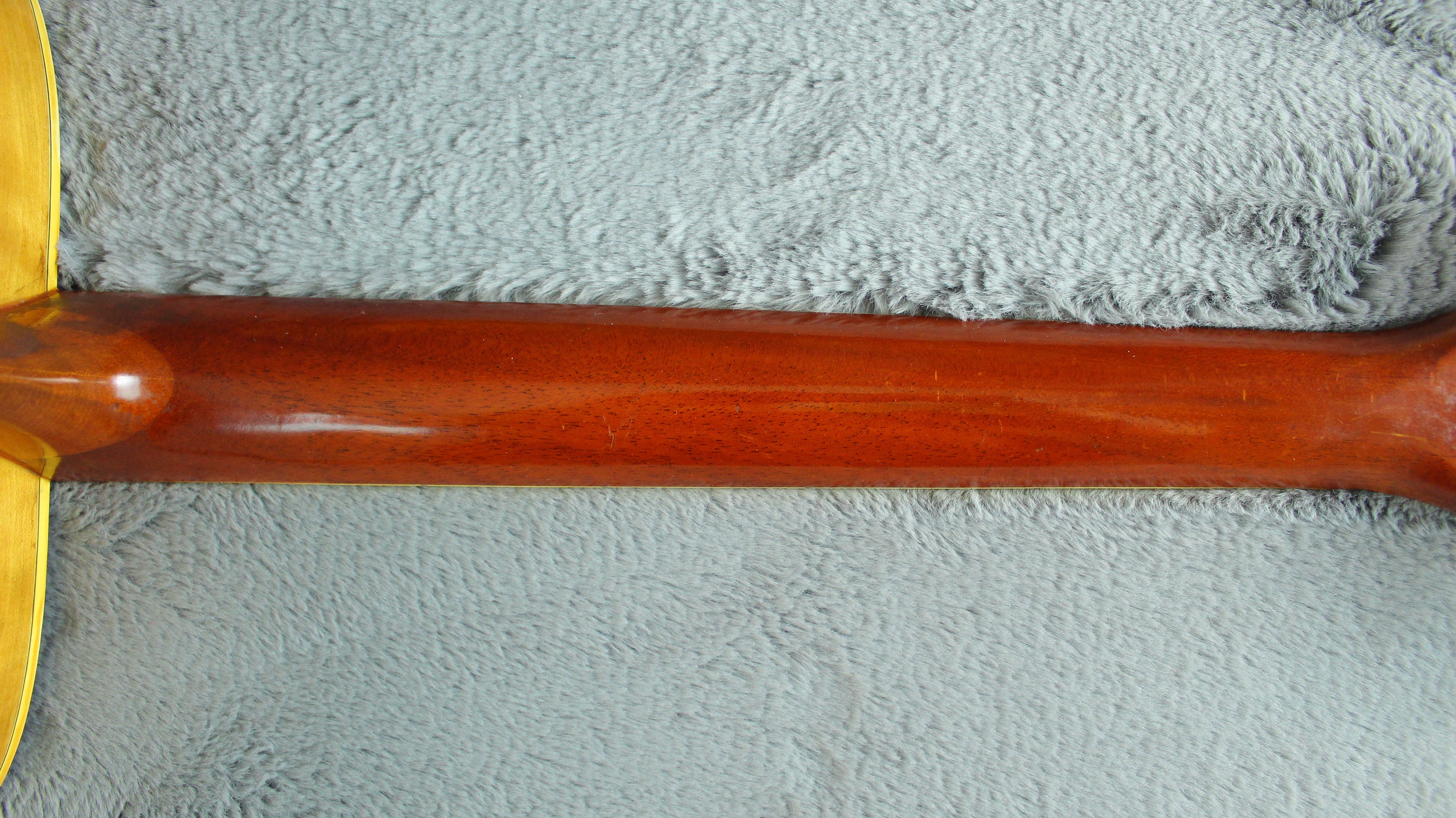 Roje by Zen-On 250 Hummingbird Style Acoustic Japan
