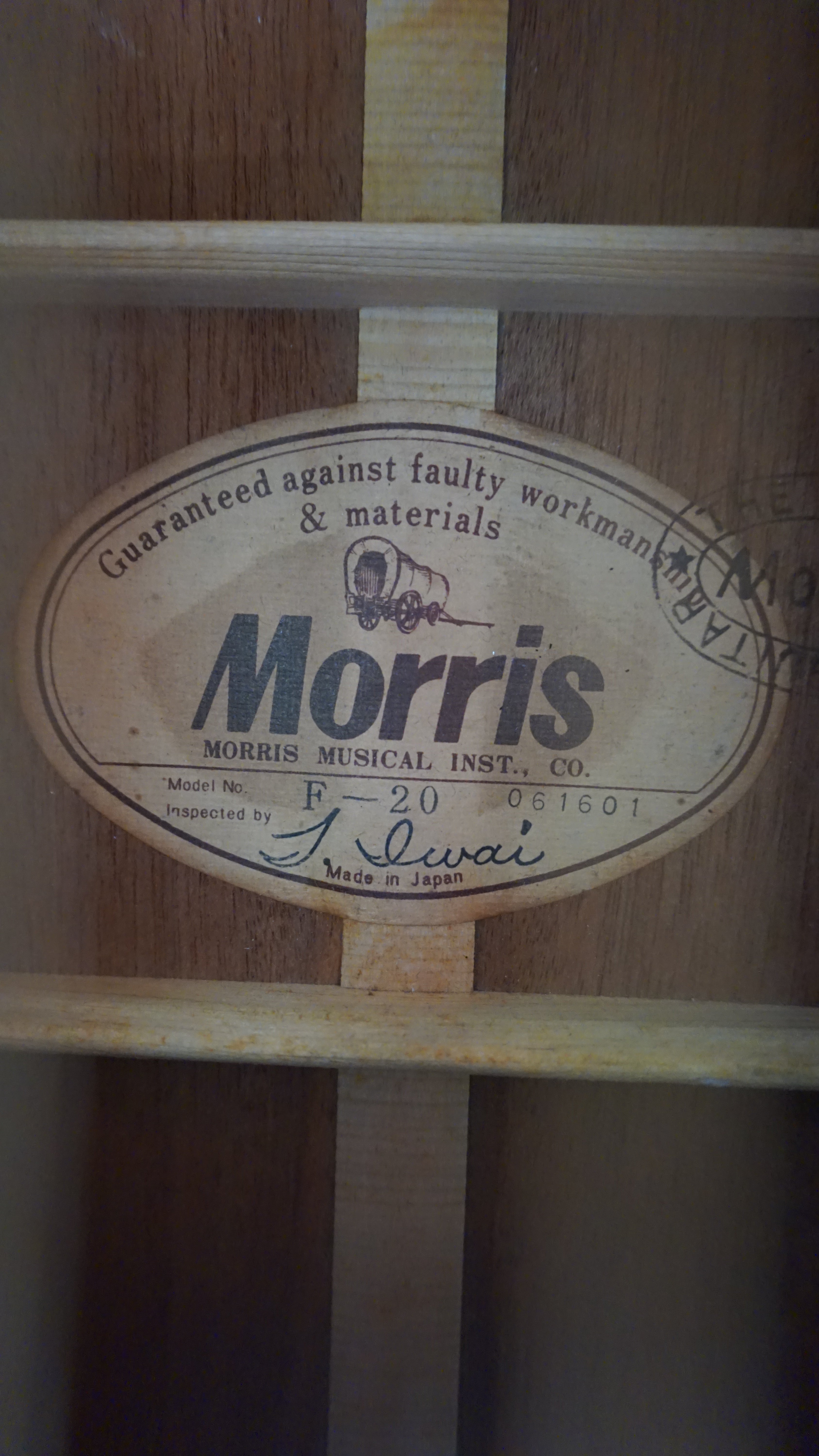 Morris F-20 Japan Acoustic