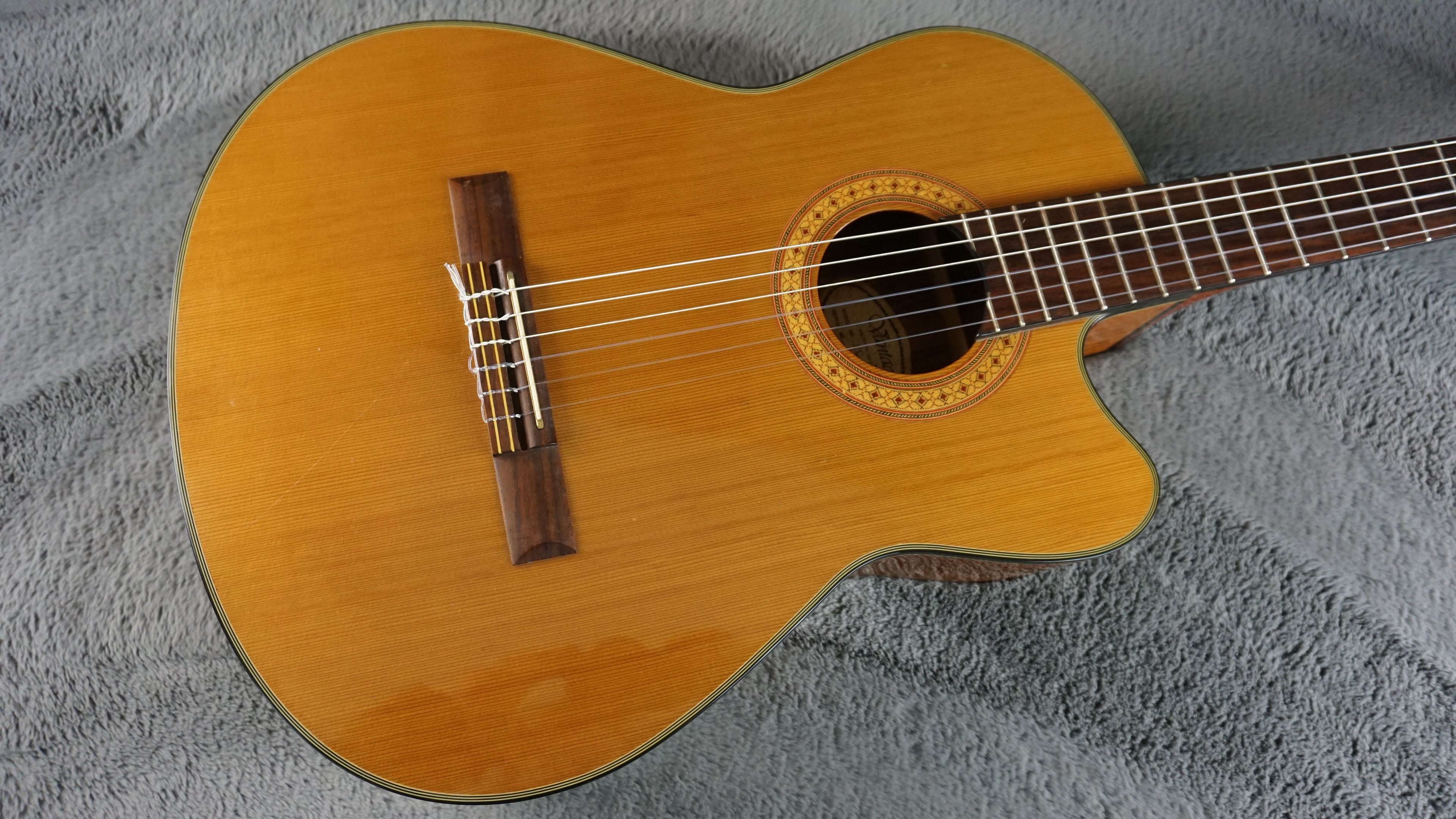 Vantage VC-20CE Classical Guitar w/ Hard Case