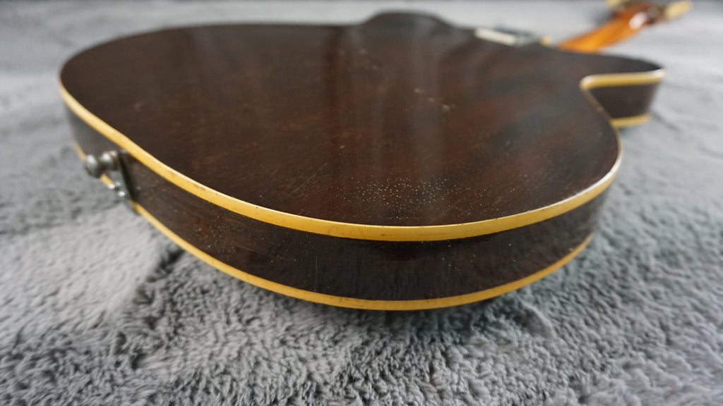 Lero Semi Hollow Body Electric Guitar