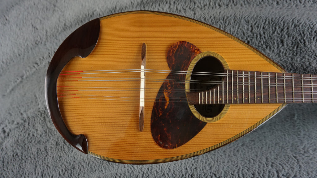 Venezia M-30 Hand Crafted Mandolin