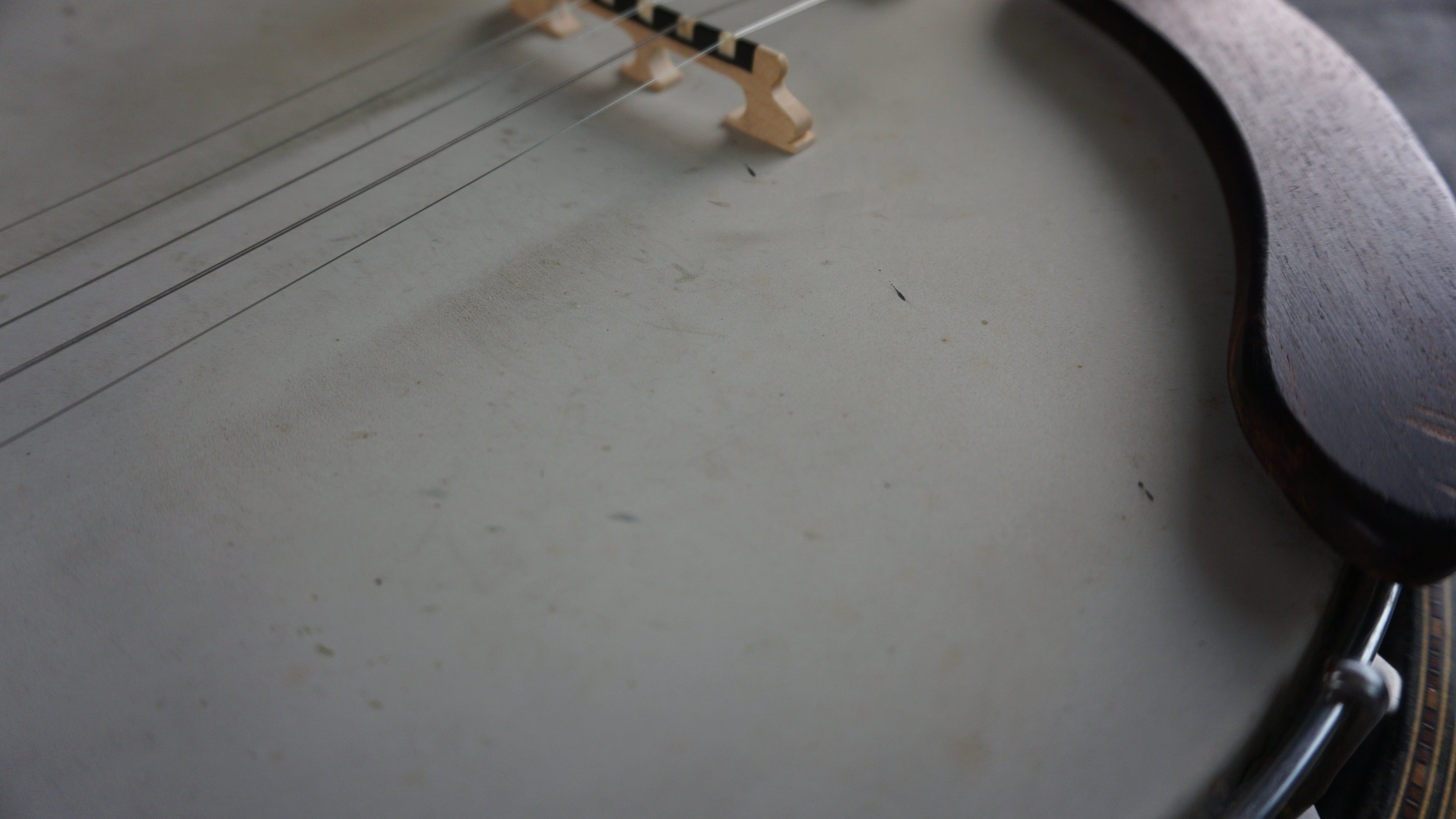 Pirles 5-String Closed Back Banjo w/ Hard Case