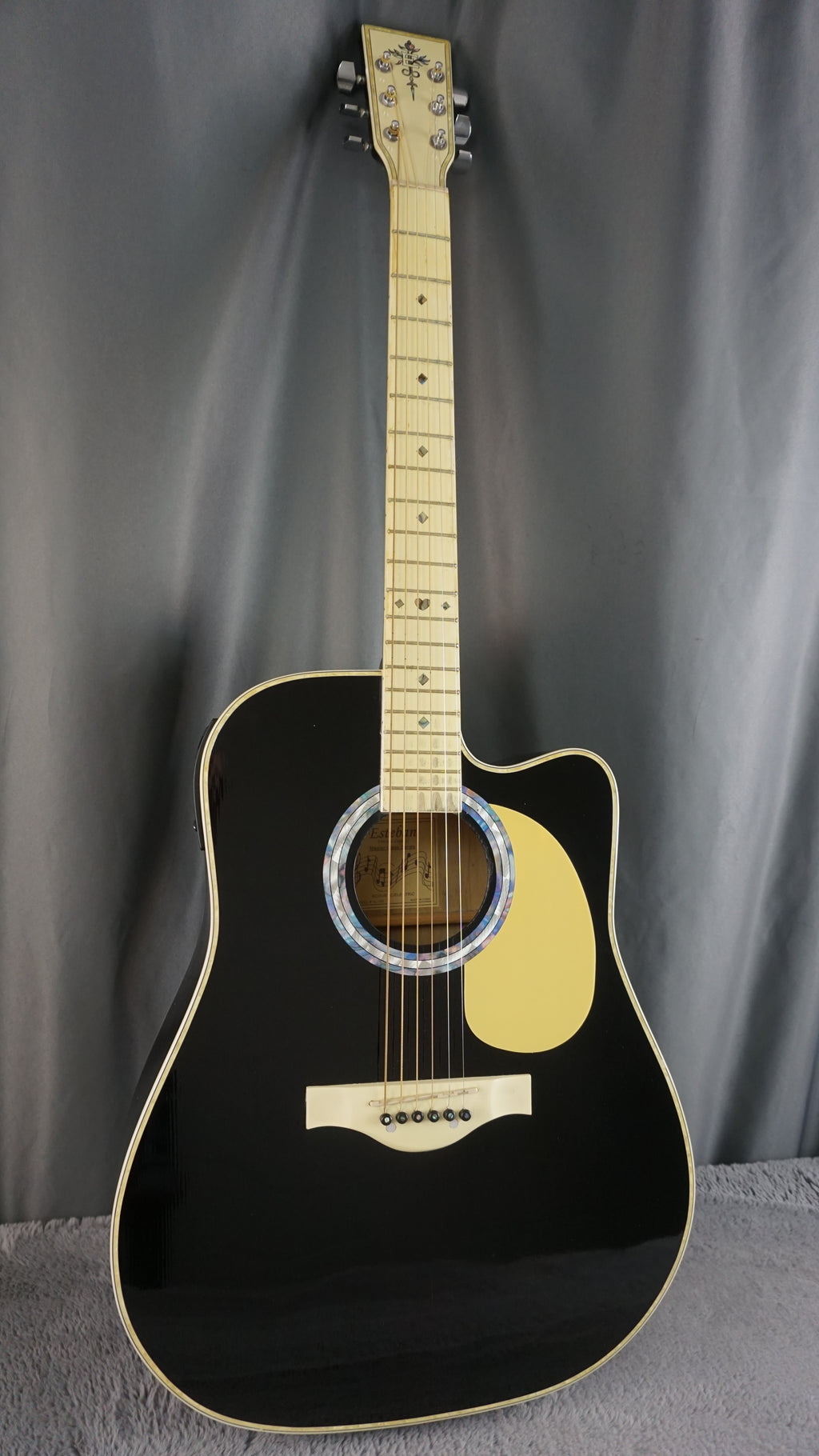 Esteban Vl-100 - Black Acoustic Guitar