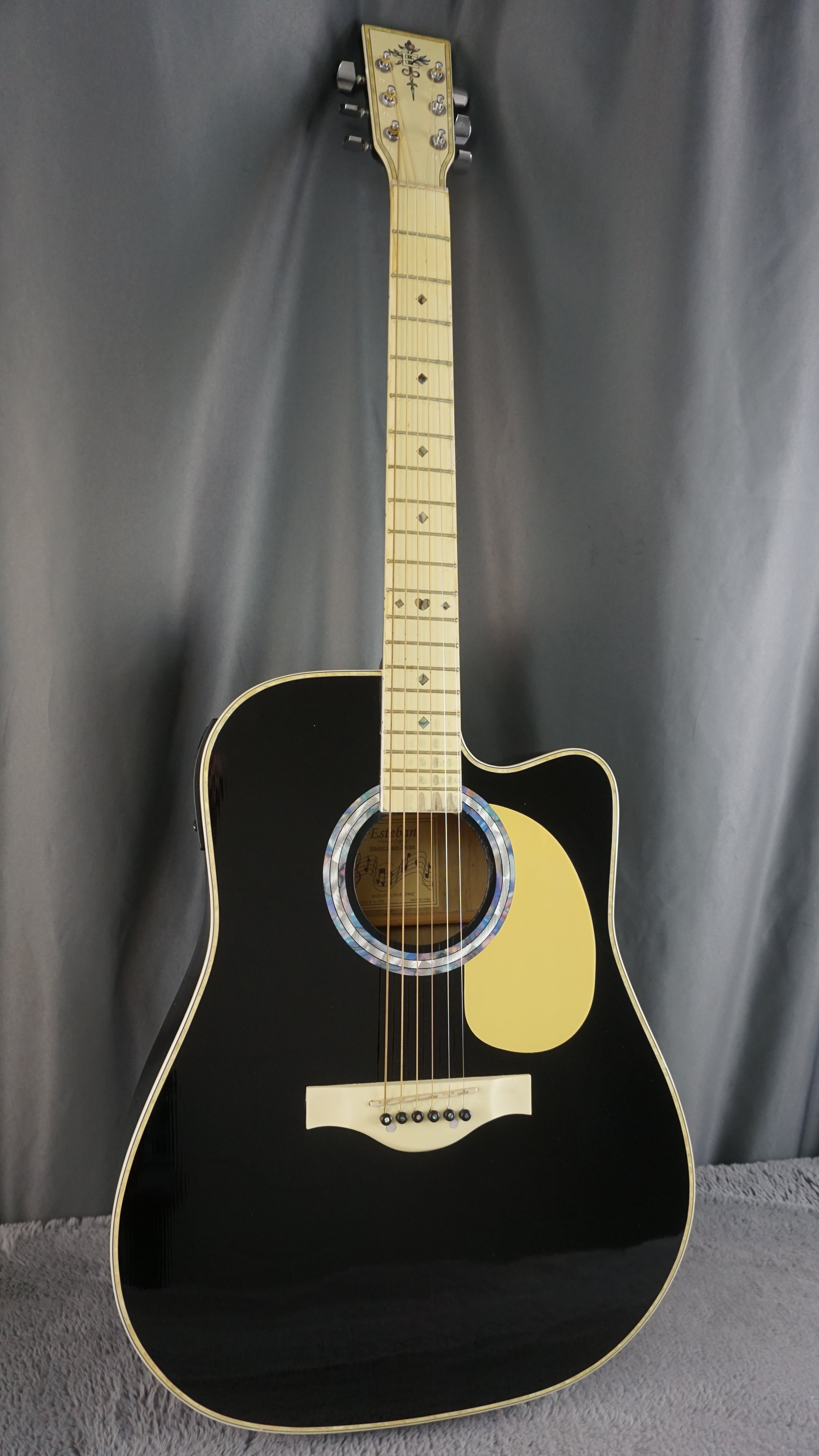Esteban Vl-100 - Black Acoustic Guitar