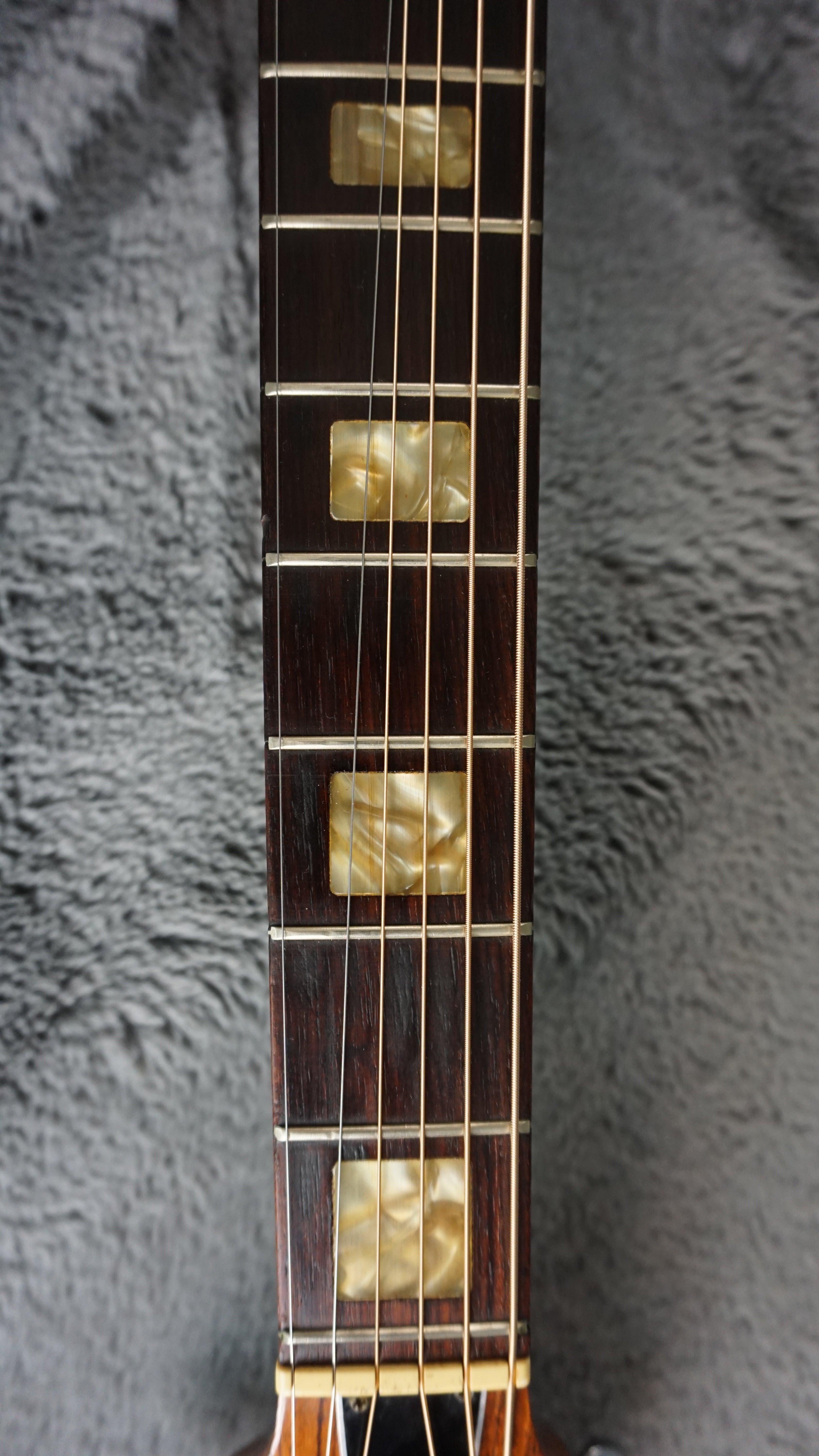 Tokai Hummingbird 180F Folk Guitar Japan Acoustic