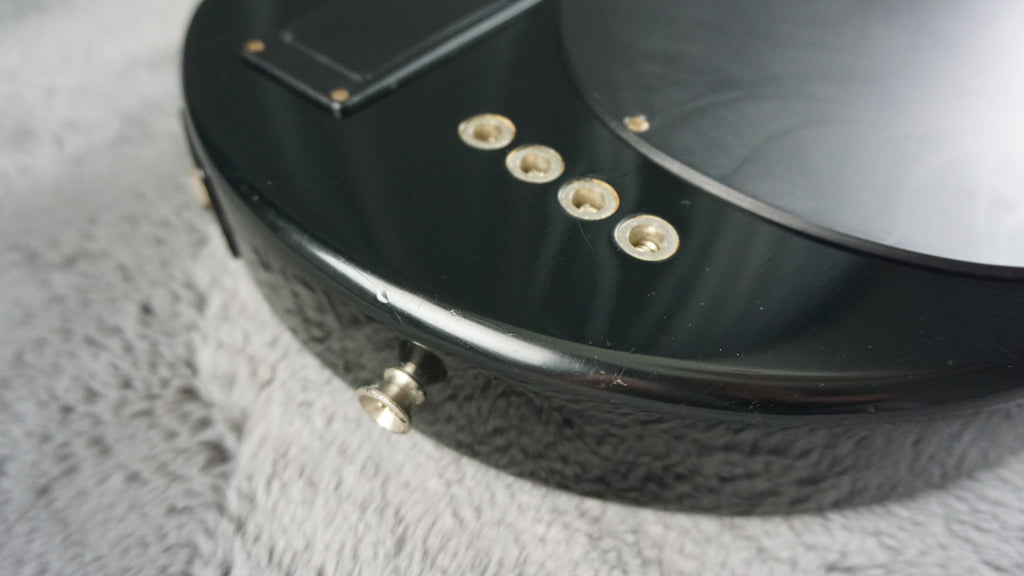Fernandes Pie-ZO Bass - Sunburst w/ Built-in Speaker