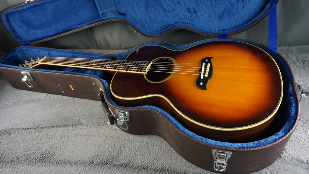 Aria Elecord FE-60 w/ Built-In Electronics w/ Hard Case