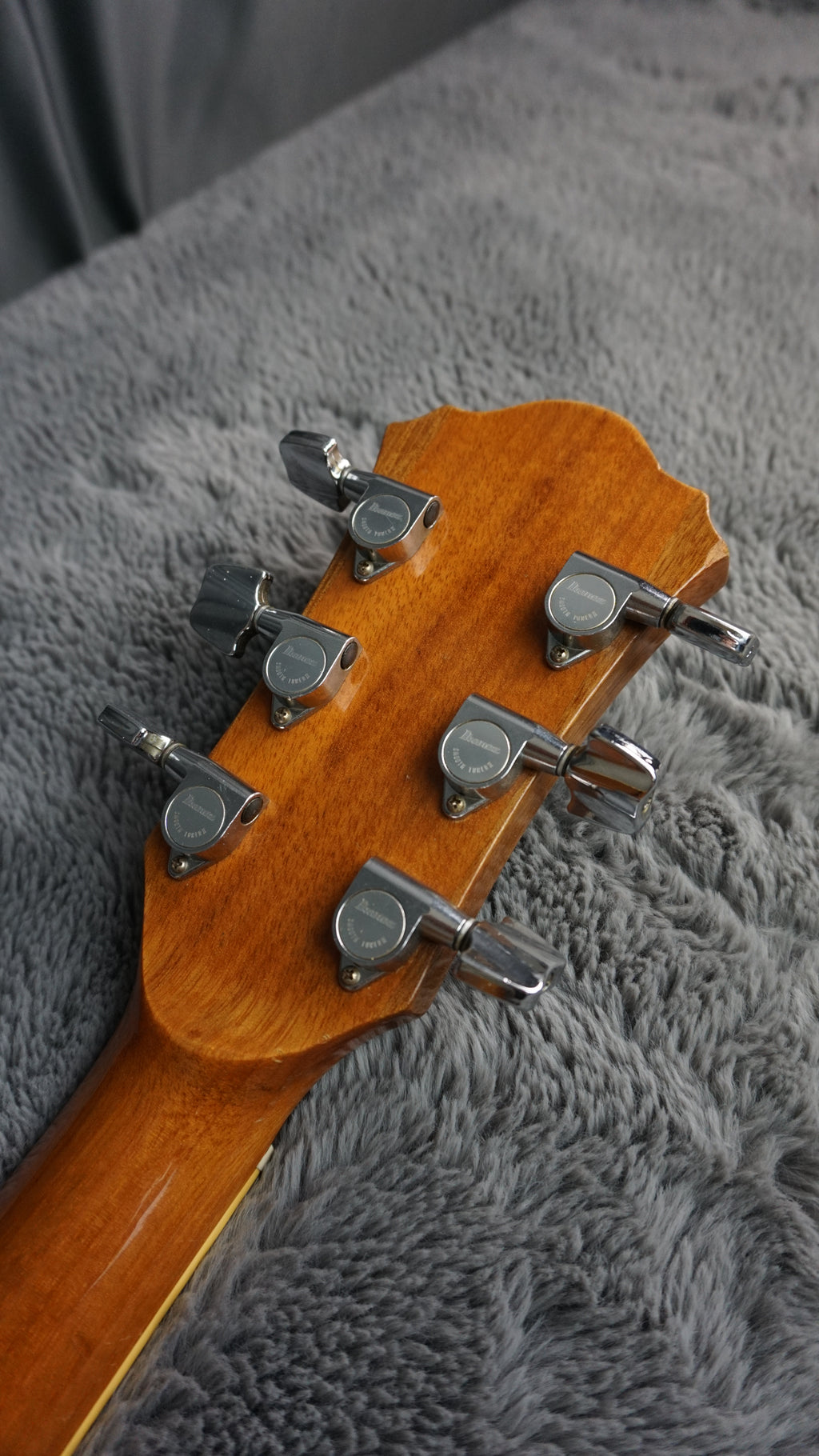 Ibanez NW-30 1983 - Natural Wood all Cedar