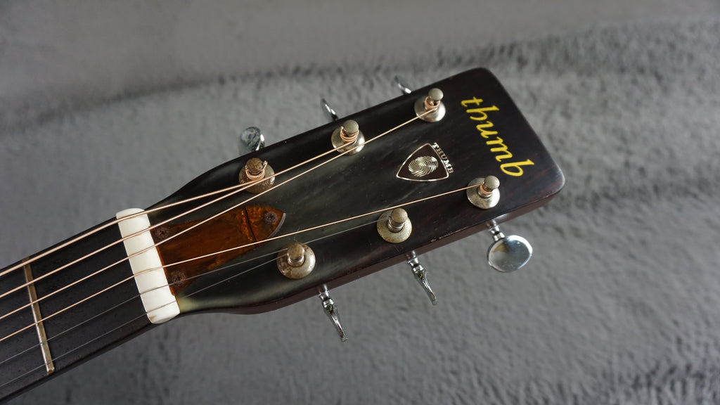 Thumb W-150 by Terada Japan Acoustic w/ Hard Case