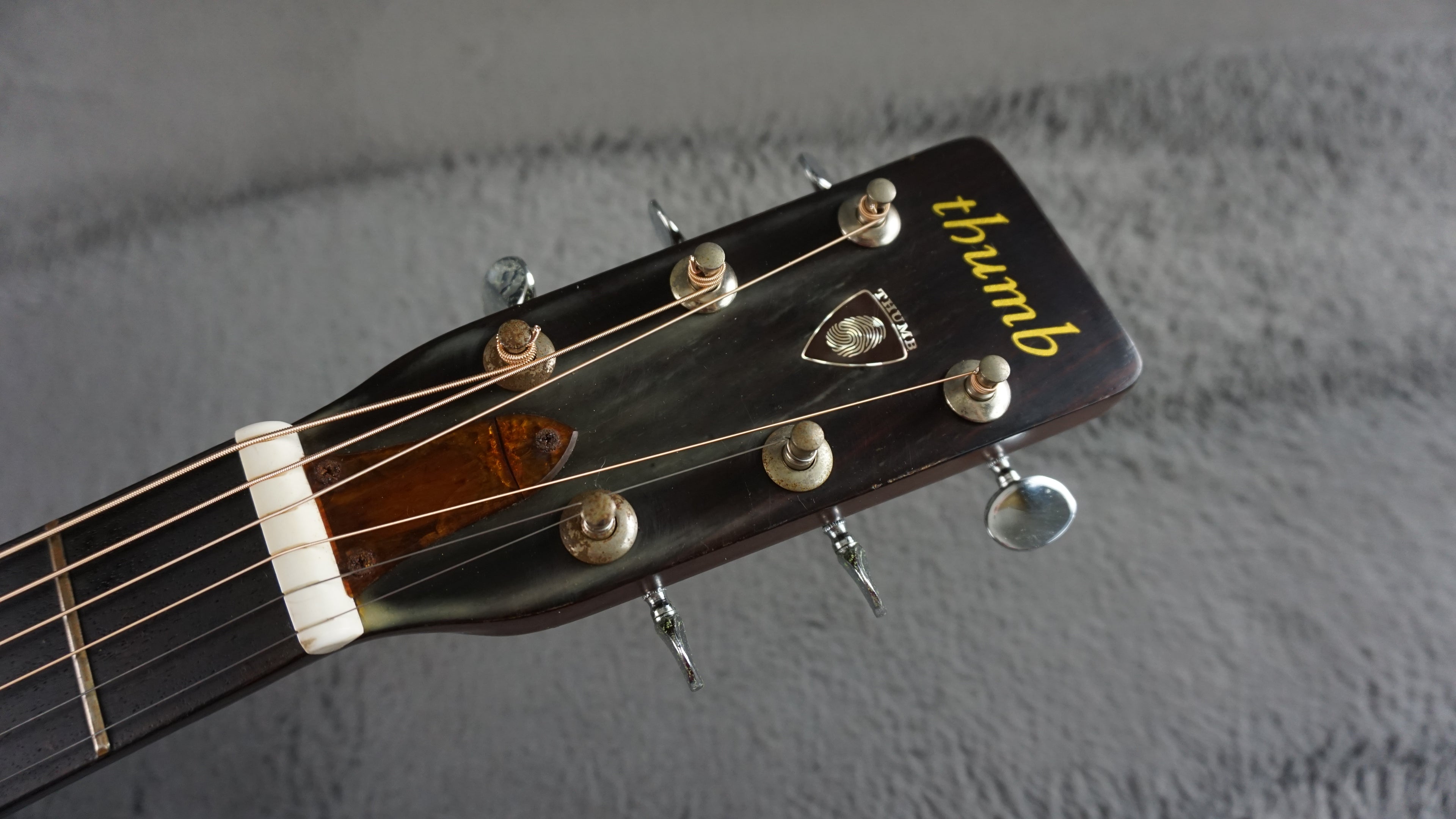 Thumb W-150 by Terada Japan Acoustic w/ Hard Case