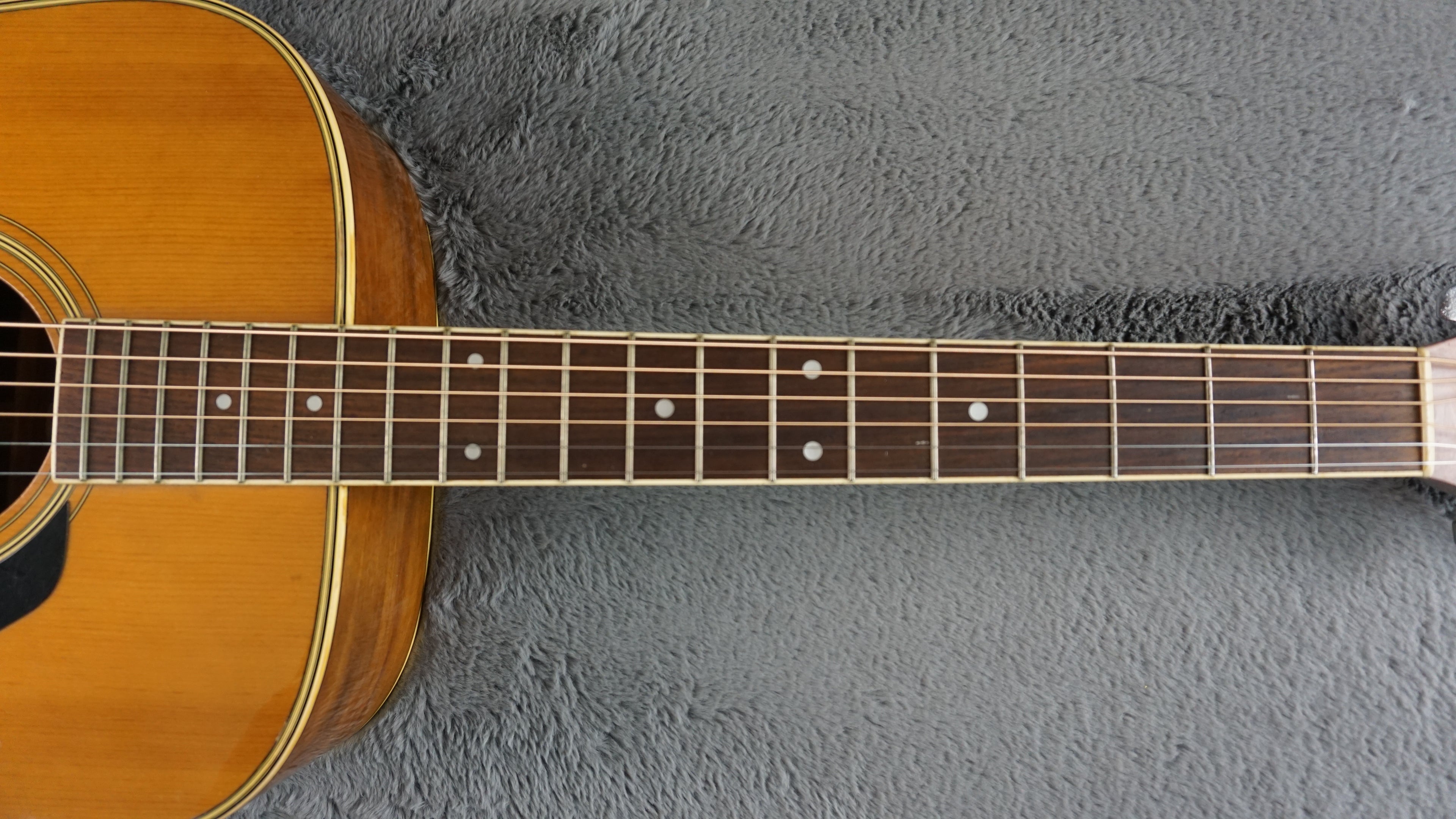 Morris MD-505 Japan Acoustic Guitar