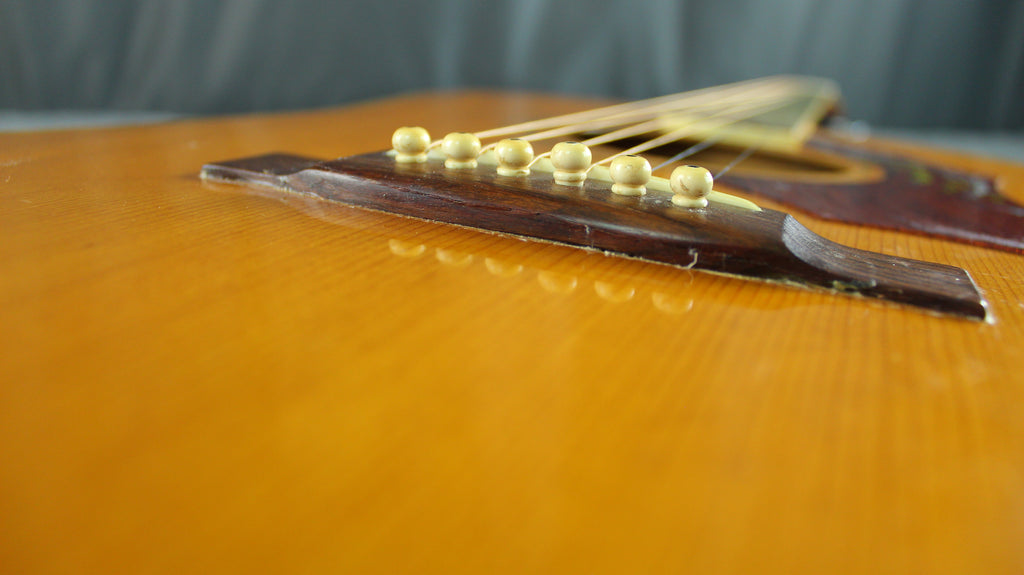 Roje by Zen-On 250 Hummingbird Style Acoustic Japan